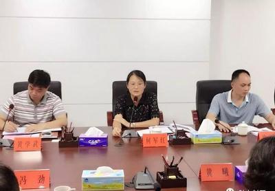 發(fā)揮嶺南旅游優(yōu)勢，共筑封開旅游新篇章——嶺南集團調(diào)研封開旅游開發(fā)項目